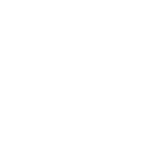 Student ambassador program