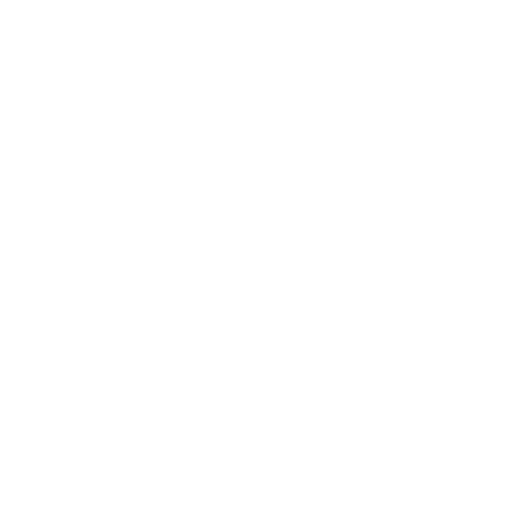 Volunteer program