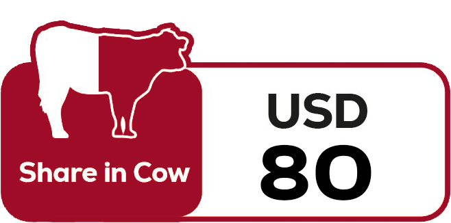 cow-share-qurbani-2025
