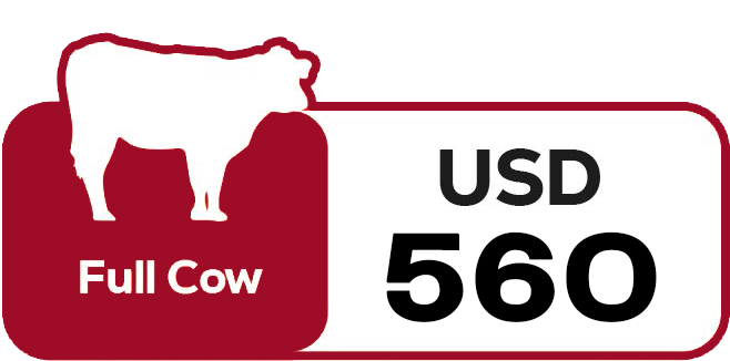 full-cow-qurbani-2025