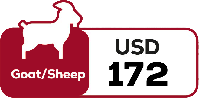goat-qurbani-2025